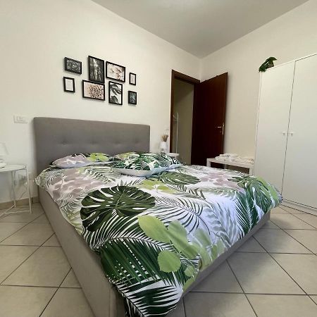 Castelli Home - Castelli Apartments Albano Laziale Exterior photo